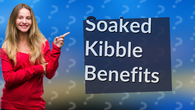 Soaked Kibble Benefits