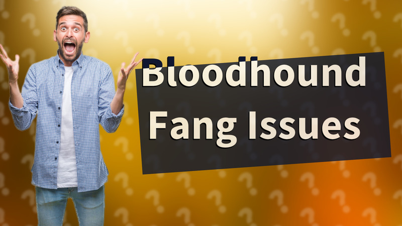 Bloodhound Fang Issues