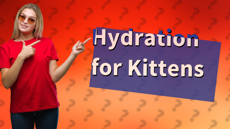 Hydration for Kittens