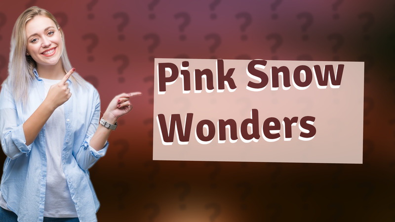 Pink Snow Wonders
