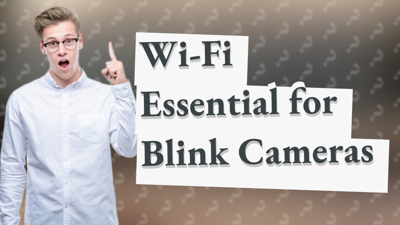 Wi-Fi Essential for Blink Cameras