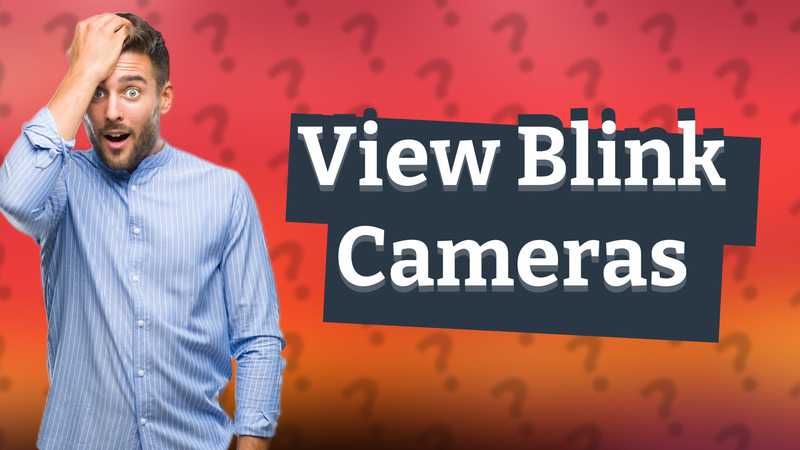 View Blink Cameras
