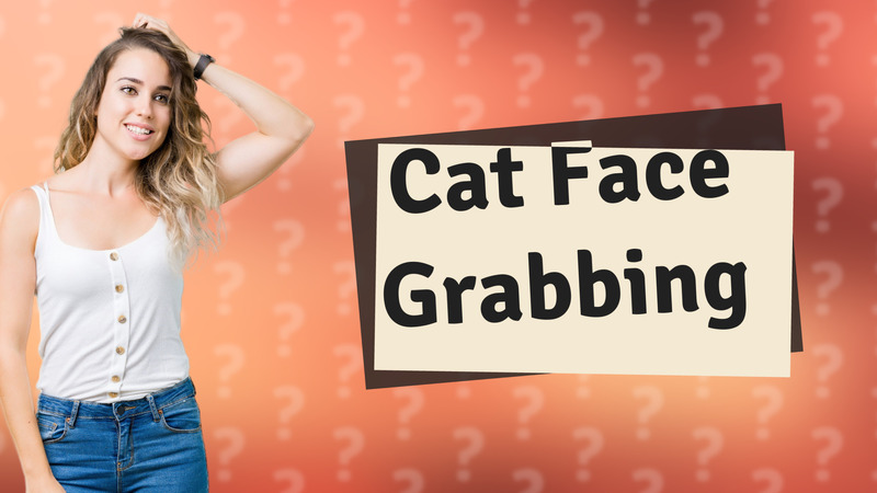 Cat Face Grabbing
