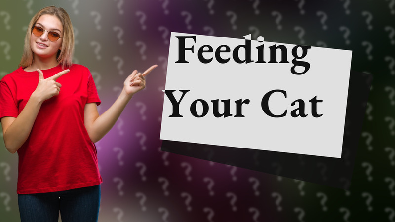 Feeding Your Cat
