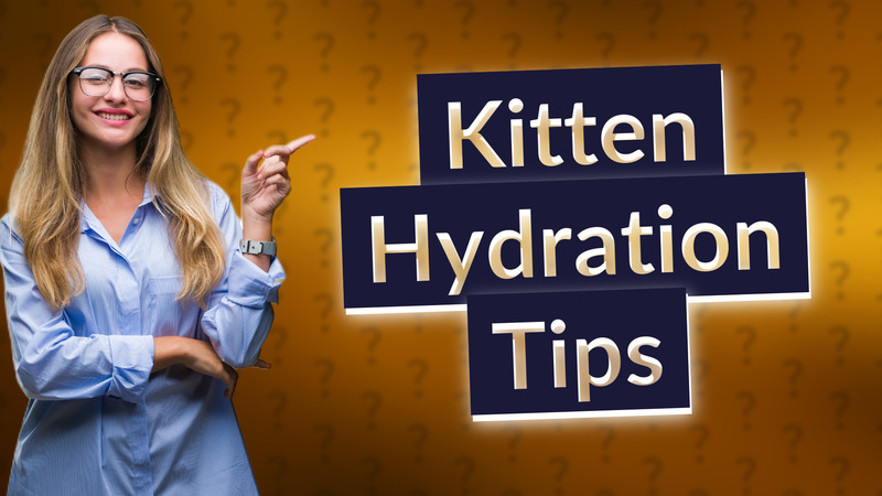 Kitten Hydration Tips