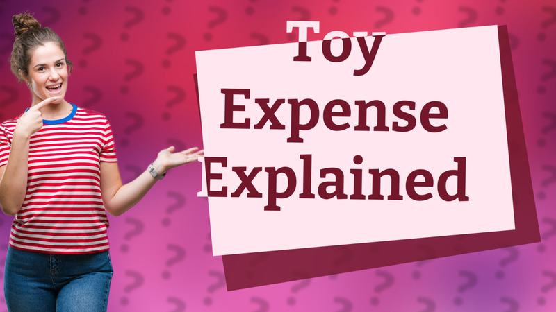 Toy Expense Explained