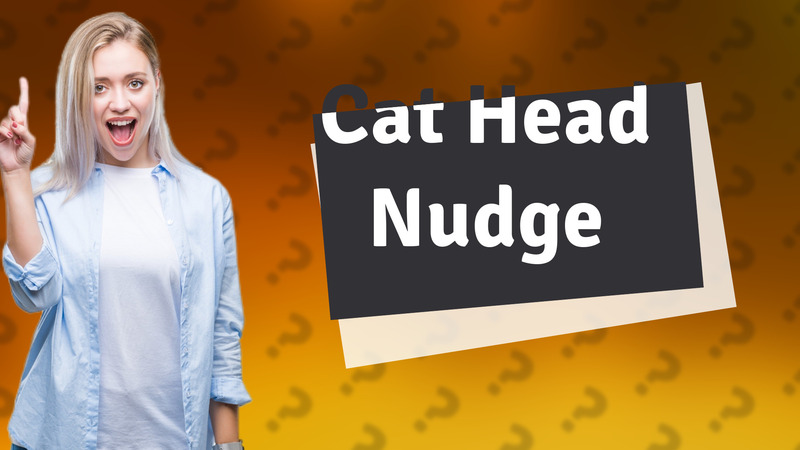 Cat Head Nudge