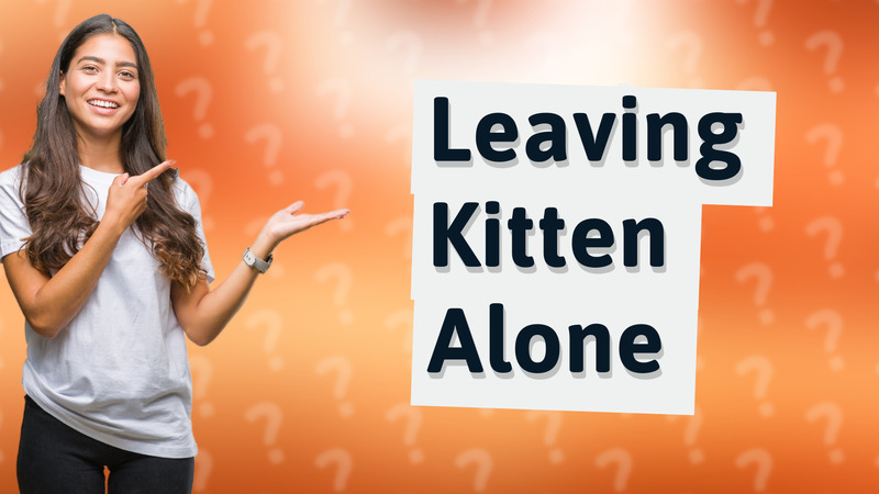 Leaving Kitten Alone