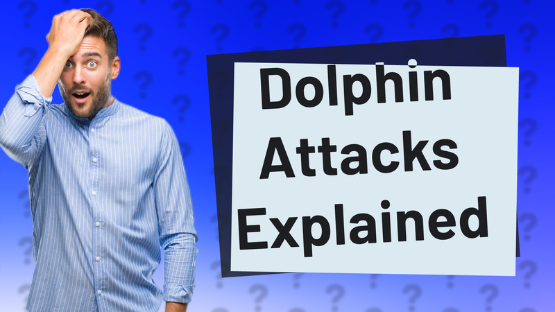 Dolphin Attacks Explained