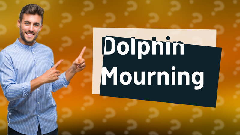 Dolphin Mourning