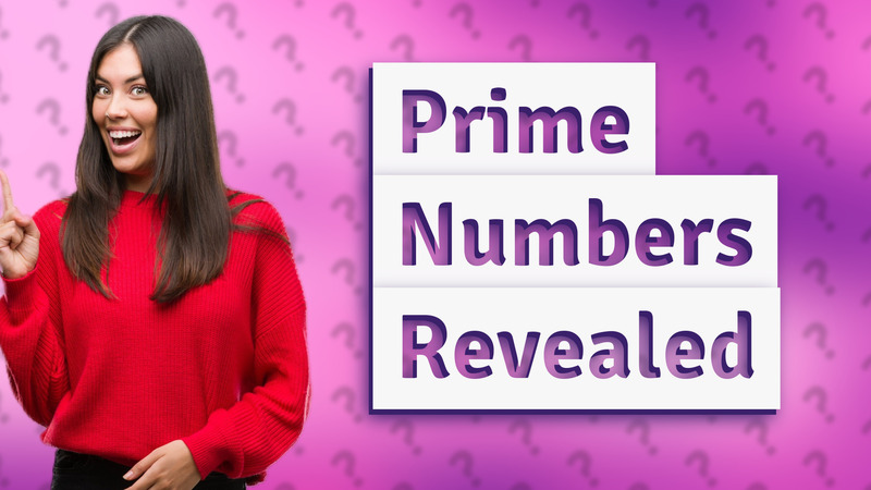 Prime Numbers Revealed