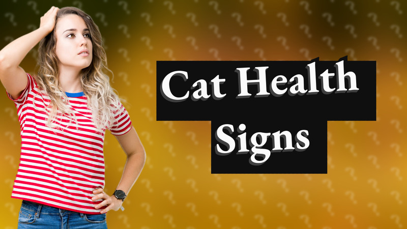 Cat Health Signs