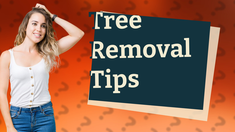 Tree Removal Tips