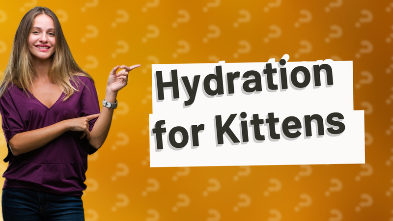 Hydration for Kittens
