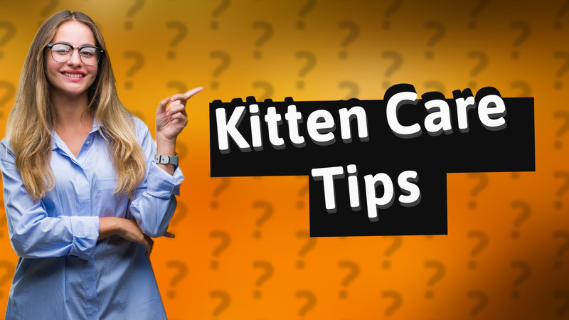 Kitten Care Tips