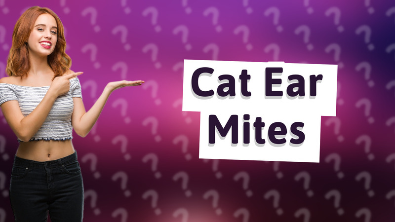 Cat Ear Mites
