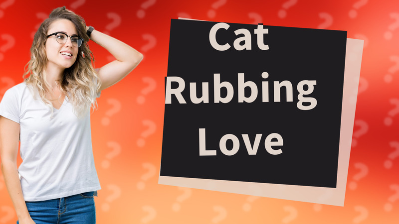 Cat Rubbing Love
