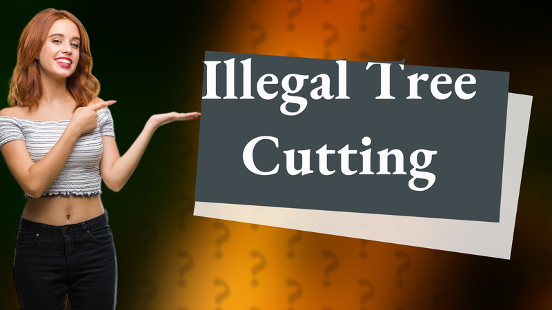 Illegal Tree Cutting