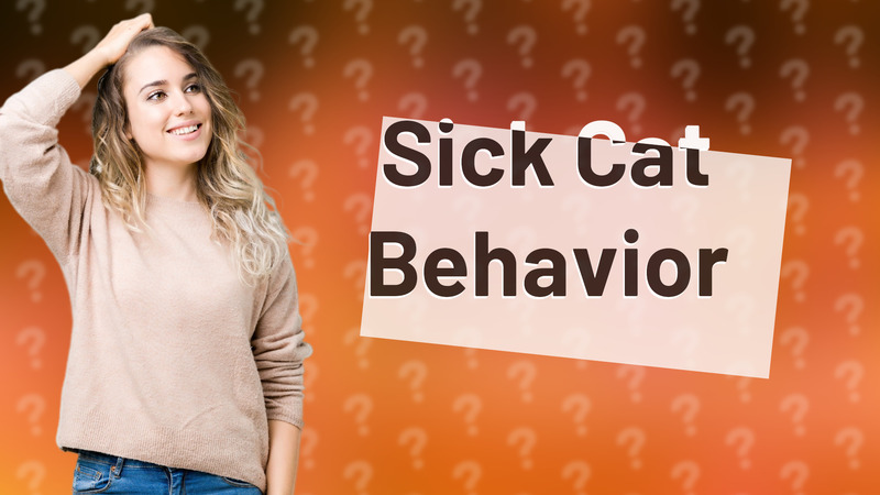 Sick Cat Behavior