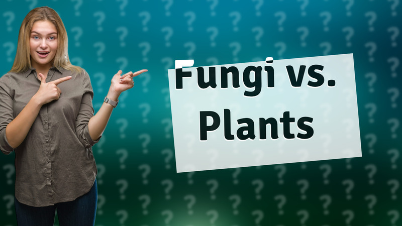 Fungi vs. Plants
