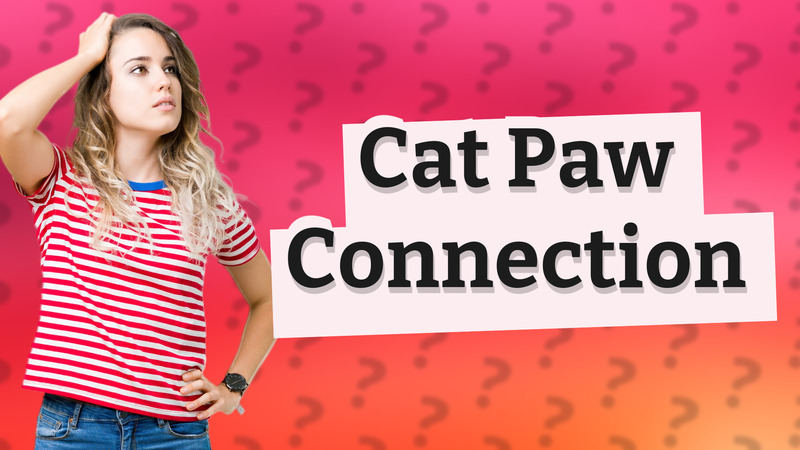 Cat Paw Connection