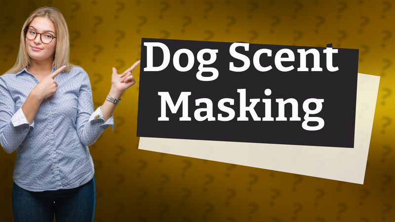 Dog Scent Masking