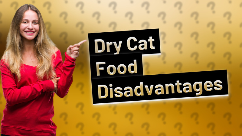 Dry Cat Food Disadvantages