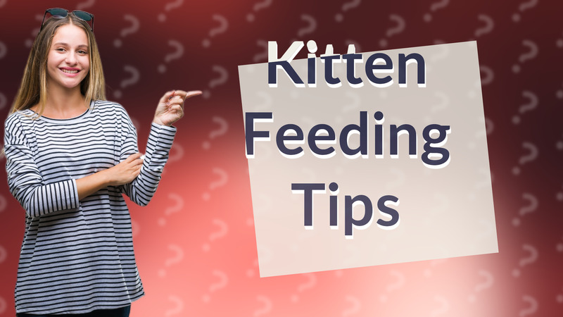 Kitten Feeding Tips