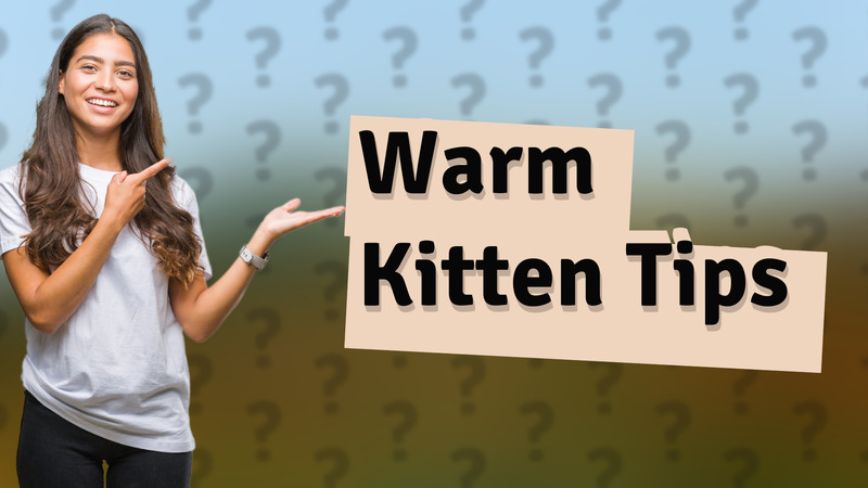 Warm Kitten Tips