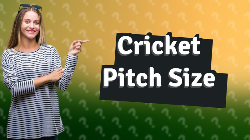 Cricket Pitch Size