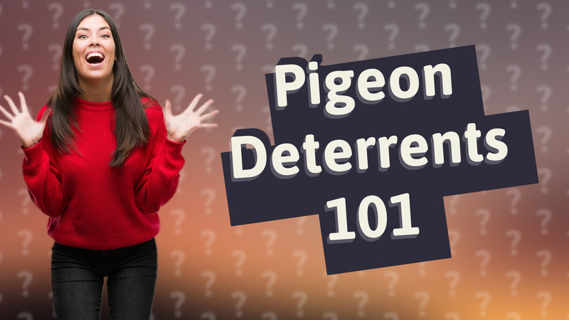 Pigeon Deterrents 101