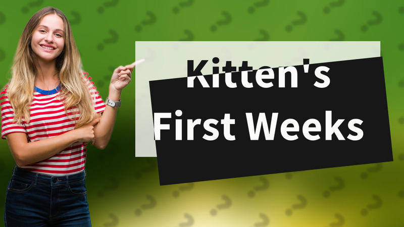 Kitten's First Weeks