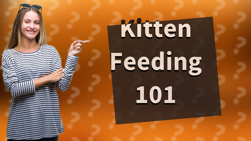Kitten Feeding 101