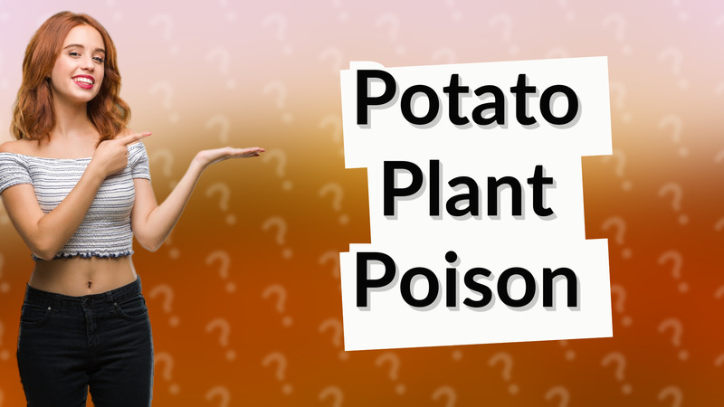 Potato Plant Poison