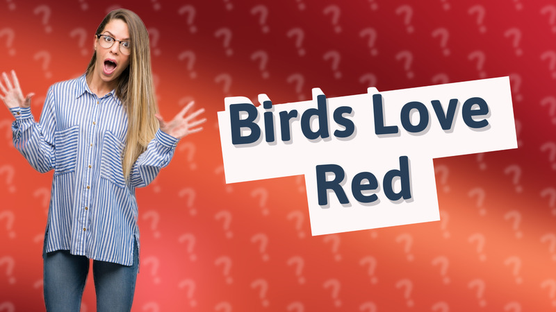 Birds Love Red