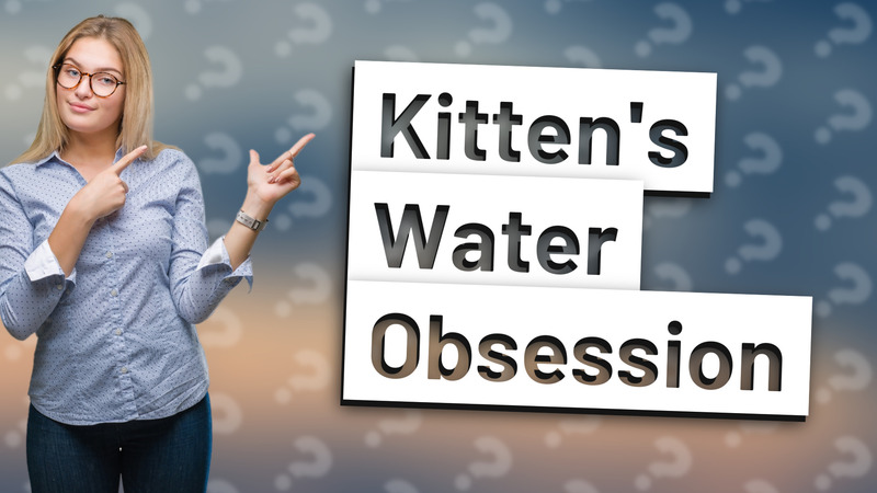 Kitten's Water Obsession