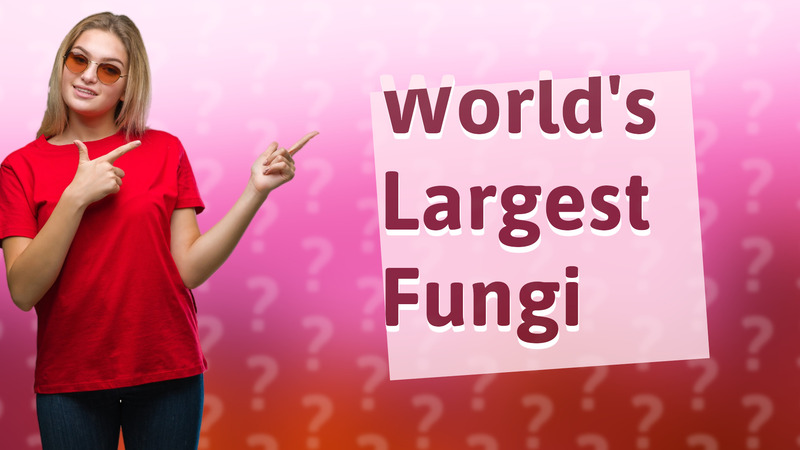 World's Largest Fungi