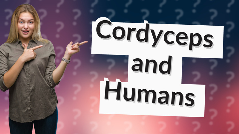 Cordyceps and Humans