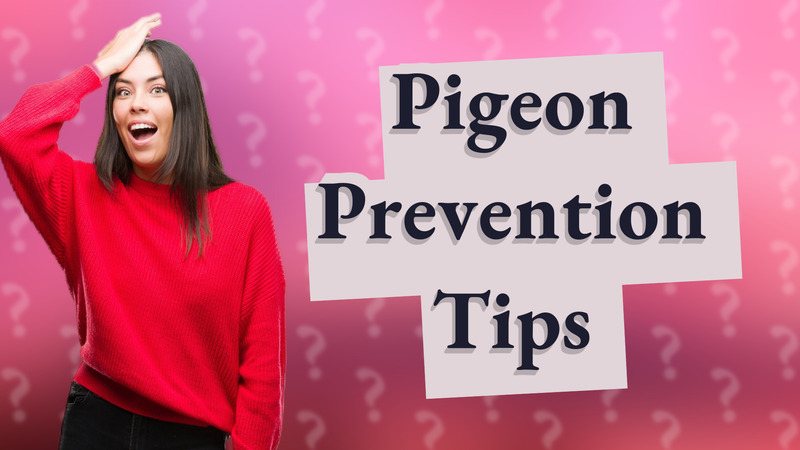 Pigeon Prevention Tips