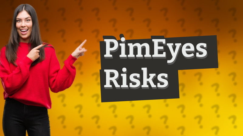 PimEyes Risks
