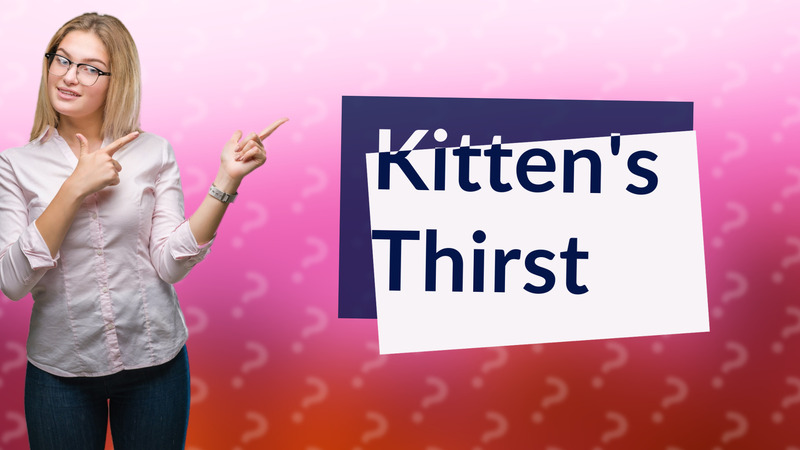 Kitten's Thirst