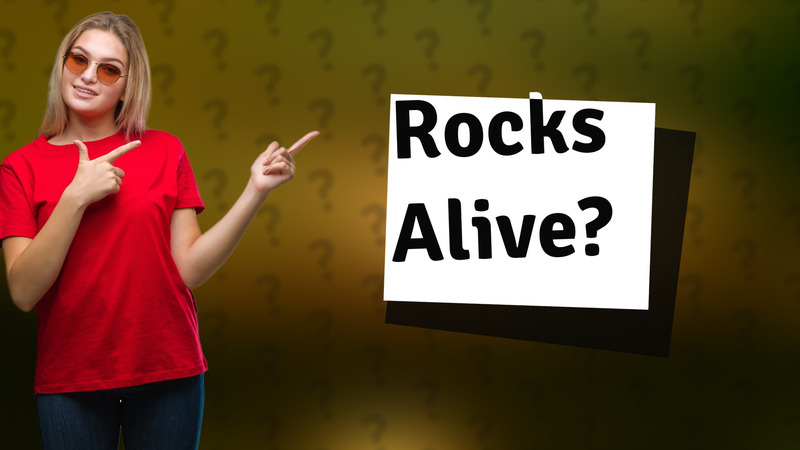 Rocks Alive?