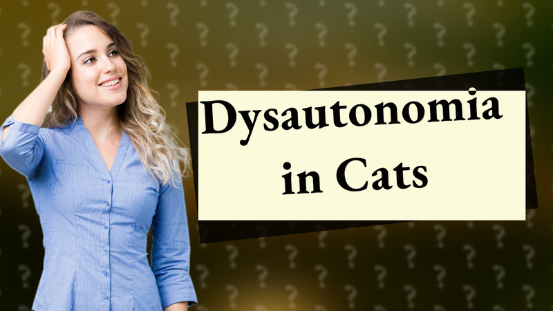 Dysautonomia in Cats
