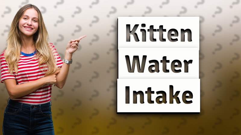 Kitten Water Intake