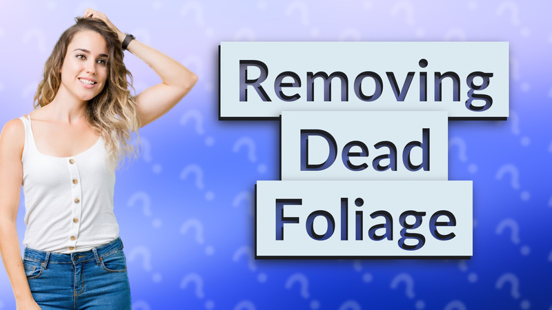 Removing Dead Foliage