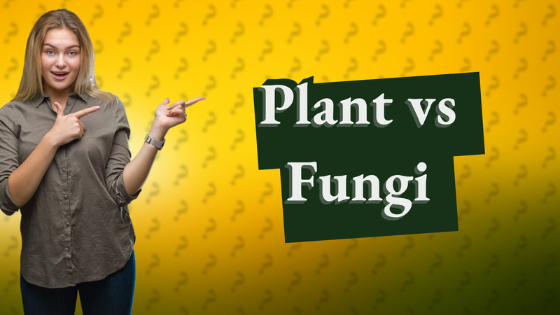Plant vs Fungi