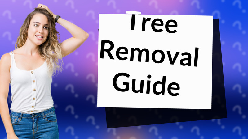 Tree Removal Guide