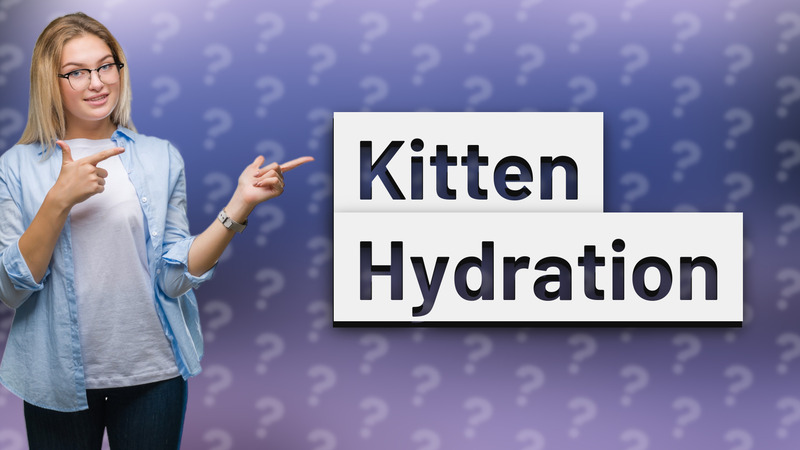 Kitten Hydration