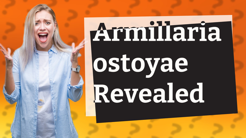 Armillaria ostoyae Revealed