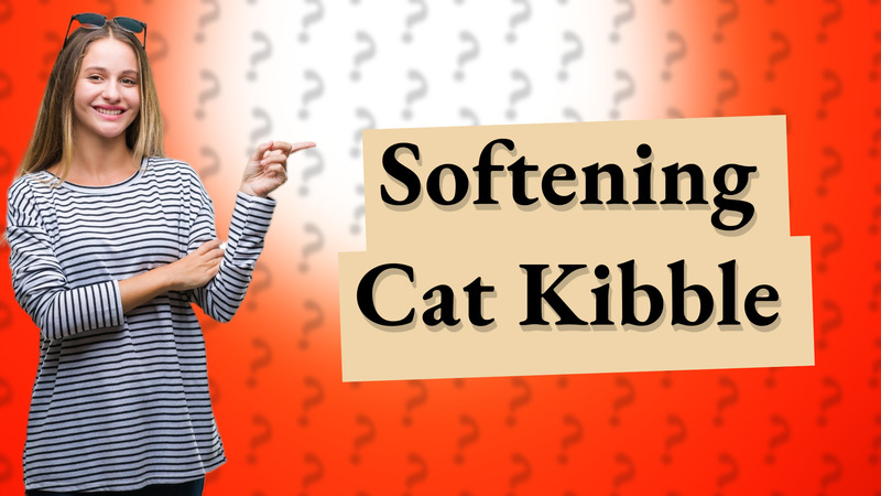 Softening Cat Kibble